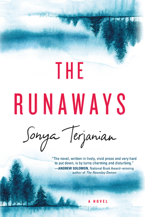 Cover image for book The Runaways