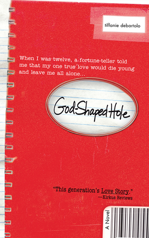 Cover image for book God Shaped Hole