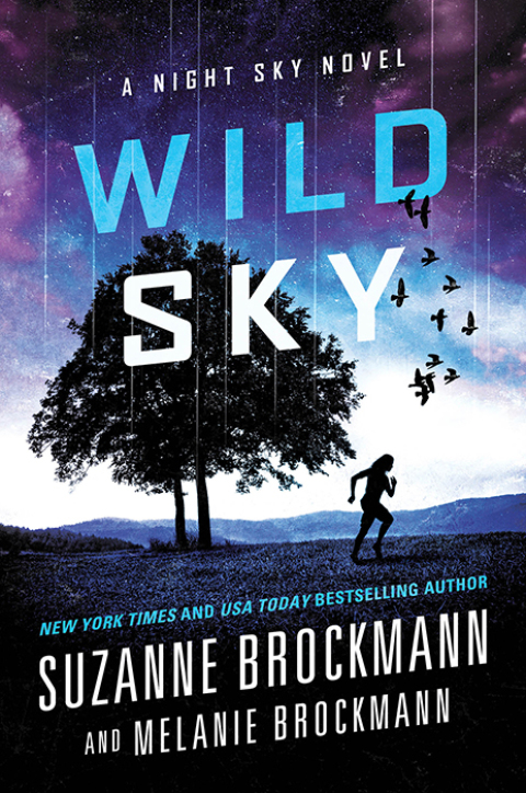 Cover image for book Wild Sky