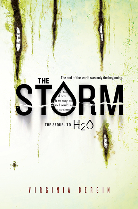 Cover image for book The Storm
