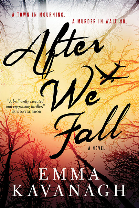 Cover image for book After We Fall