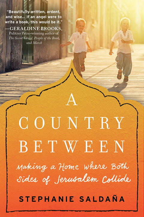 Cover image for book A Country Between
