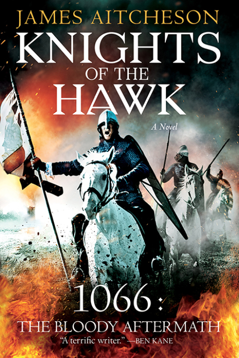 Cover image for book Knights of the Hawk