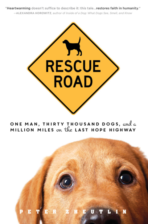 Cover image for book Rescue Road