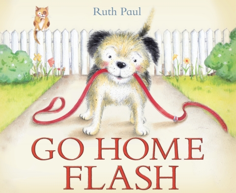 Cover image for book Go Home Flash