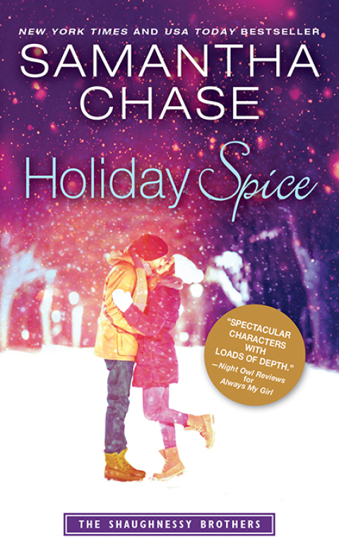 Cover image for book Holiday Spice