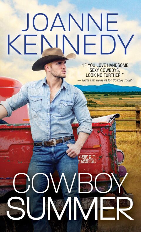 Cover image for book Cowboy Summer
