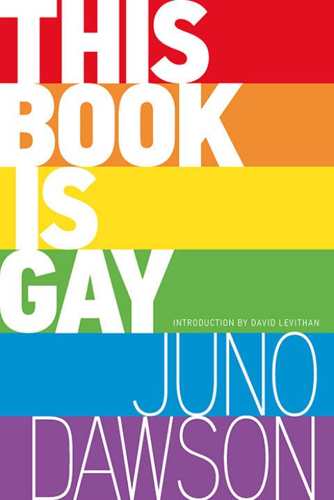 Cover image for book This Book Is Gay