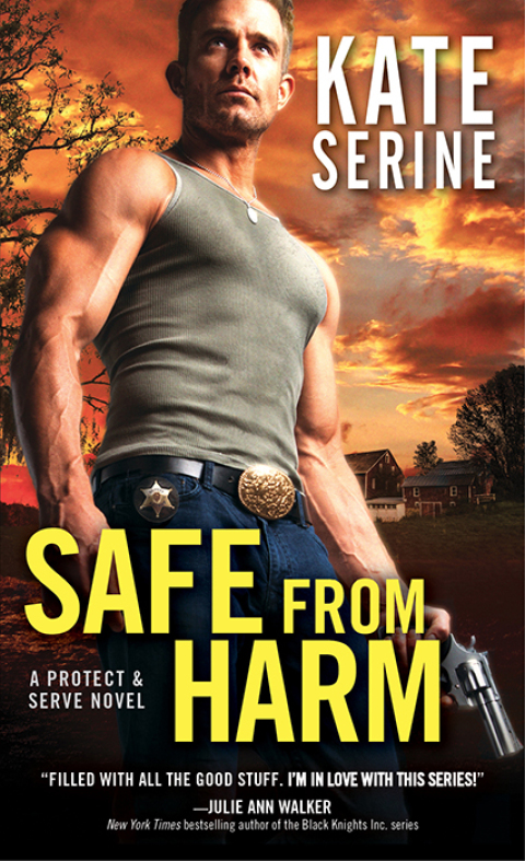 Cover image for book Safe From Harm