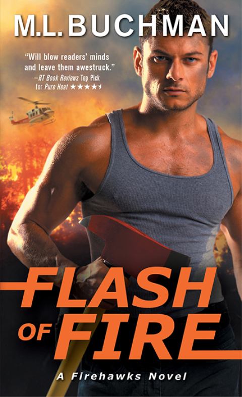 Cover image for book Flash of Fire