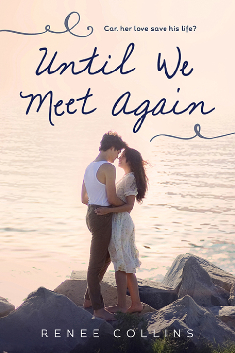 Cover image for book Until We Meet Again