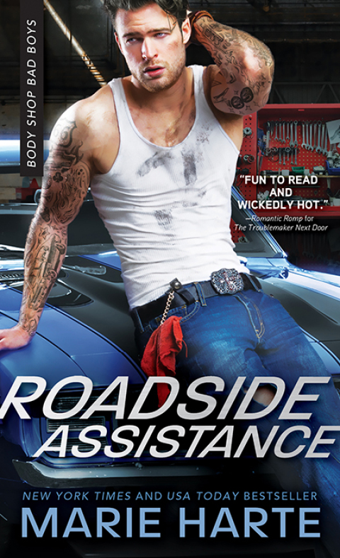 Cover image for book Roadside Assistance