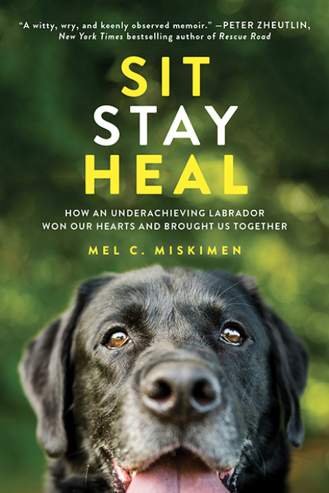 Cover image for book Sit Stay Heal