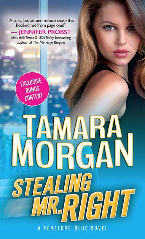 Cover image for book Stealing Mr. Right