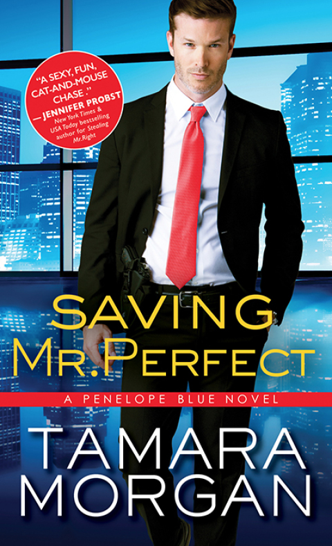 Cover image for book Saving Mr. Perfect