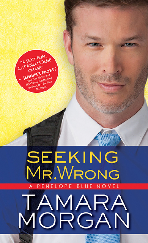 Cover image for book Seeking Mr. Wrong