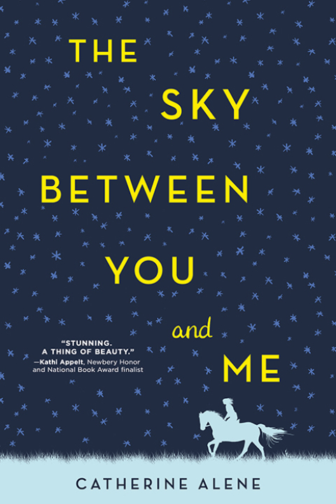 Cover image for book The Sky between You and Me