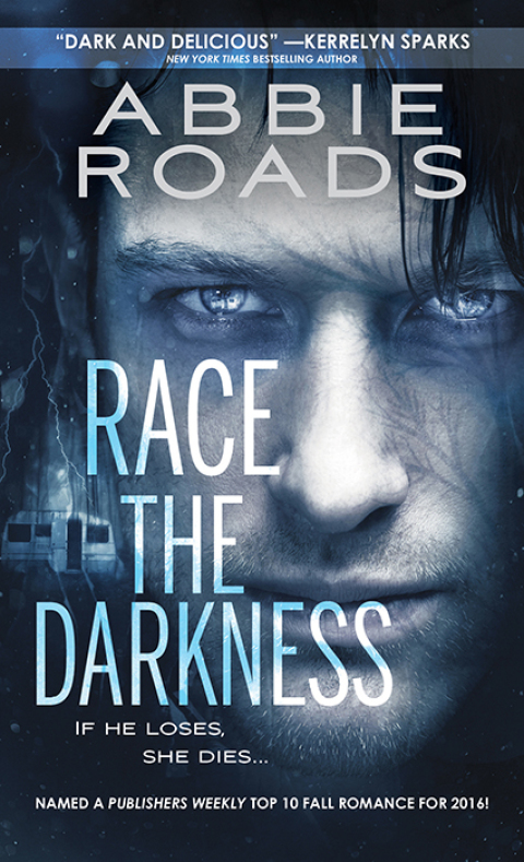 Cover image for book Race the Darkness