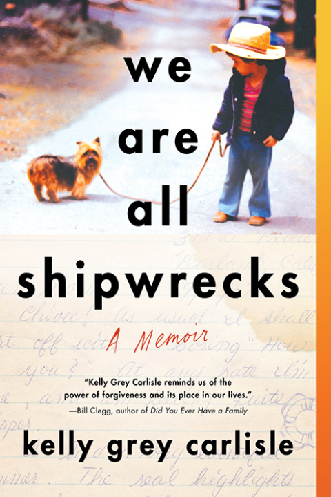 Cover image for book We Are All Shipwrecks