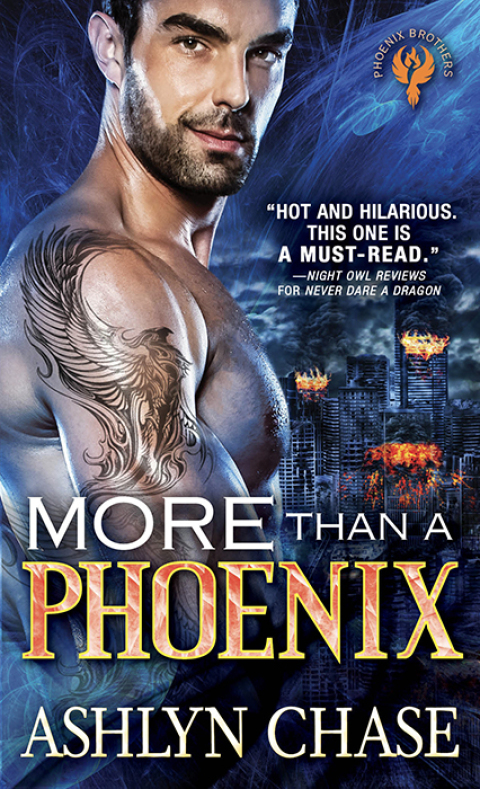 Cover image for book More than a Phoenix
