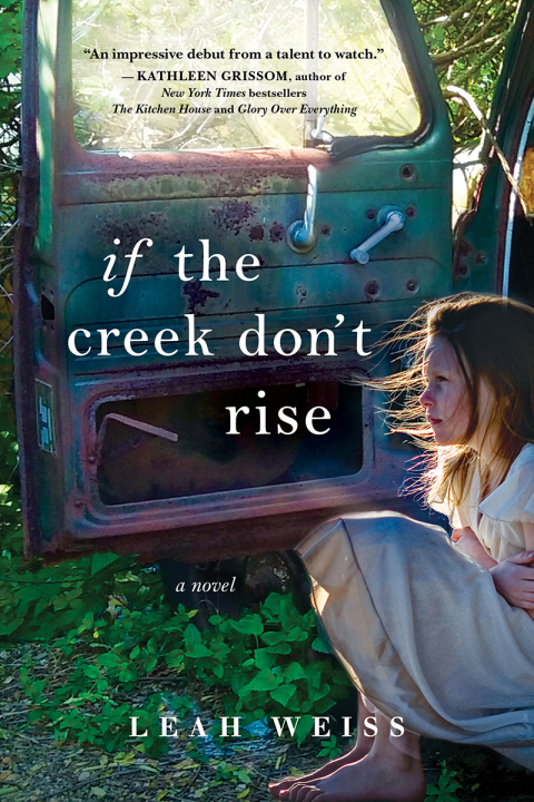 Cover image for book If the Creek Don't Rise