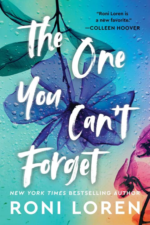 Cover image for book The One You Can't Forget