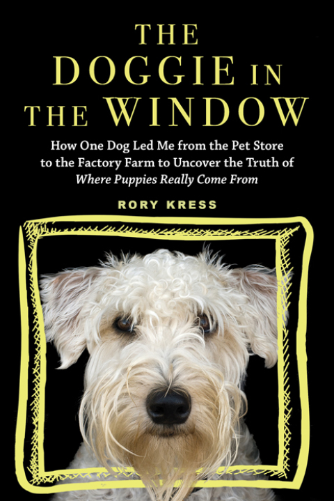 Cover image for book The Doggie in the Window