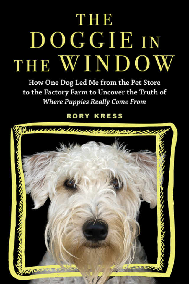 The Doggie in the Window