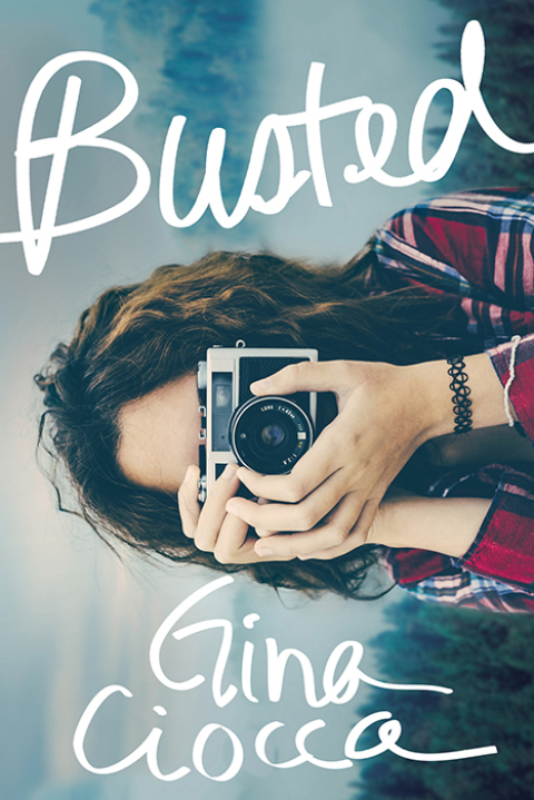 Cover image for book Busted