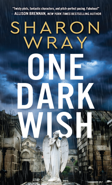 Cover image for book One Dark Wish