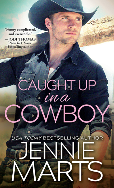 Cover image for book Caught Up in a Cowboy