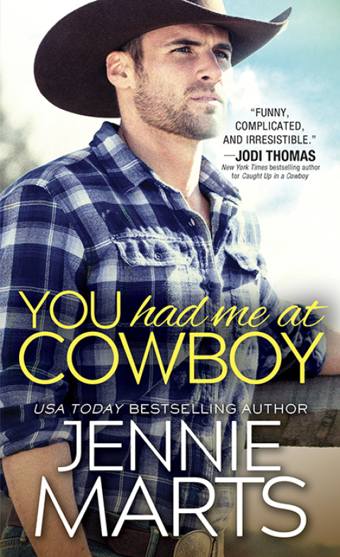 Cover image for book You Had Me at Cowboy