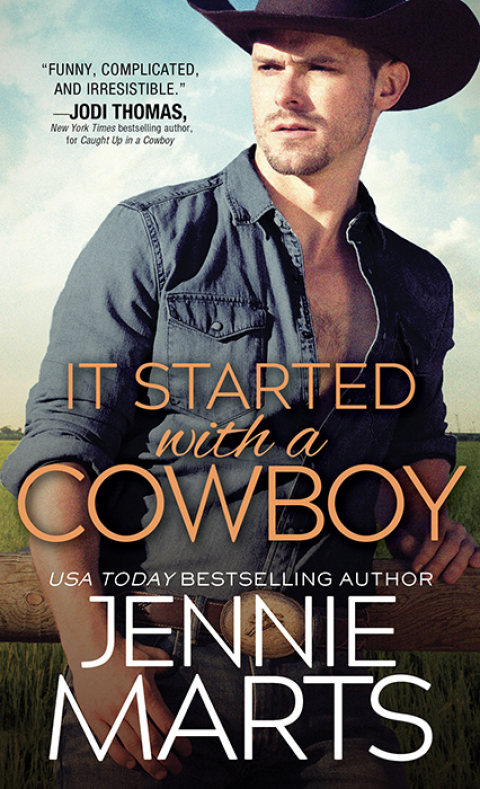 Cover image for book It Started with a Cowboy
