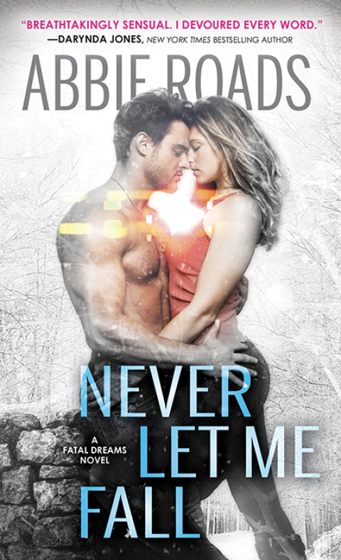 Cover image for book Never Let Me Fall