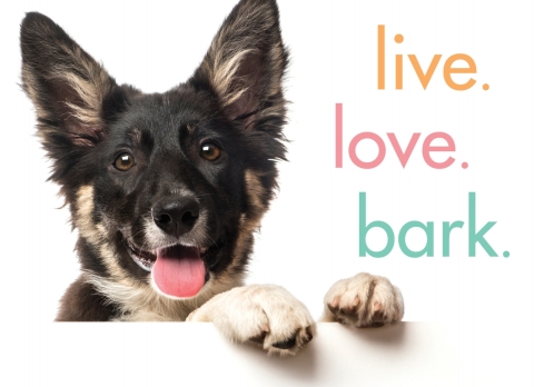 Cover image for book Live. Love. Bark.