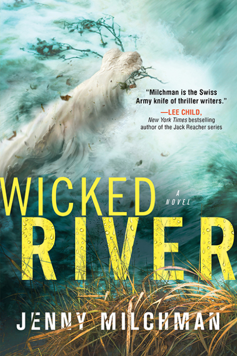Cover image for book Wicked River