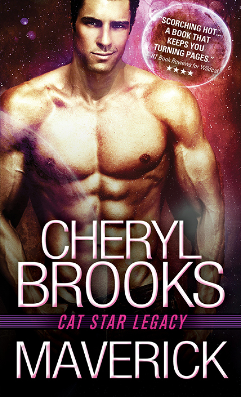 Cover image for book Maverick
