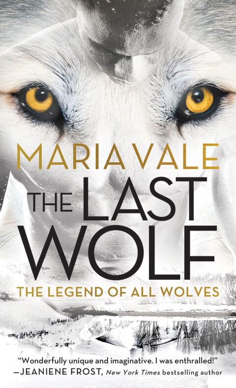 Cover image for book The Last Wolf