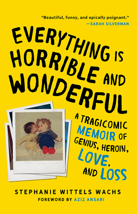 Cover image for book Everything Is Horrible and Wonderful
