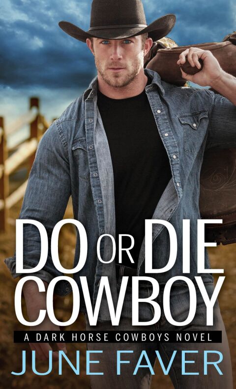 Cover image for book Do or Die Cowboy