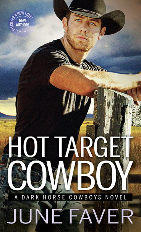 Cover image for book Hot Target Cowboy
