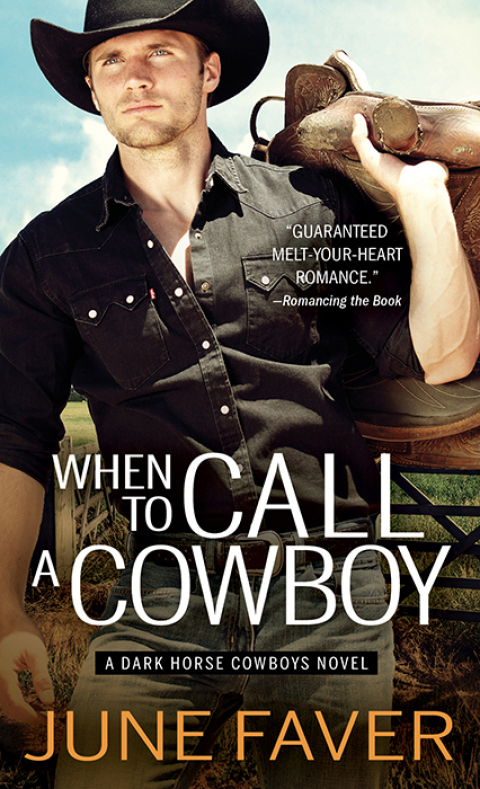 Cover image for book When to Call a Cowboy