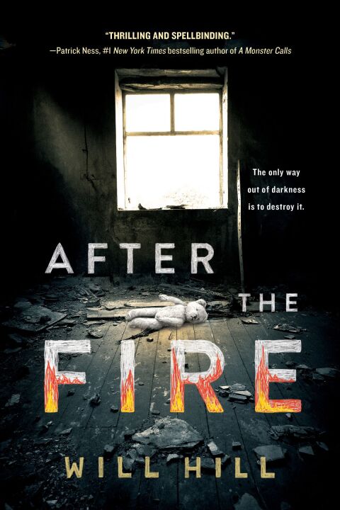 Cover image for book After the Fire