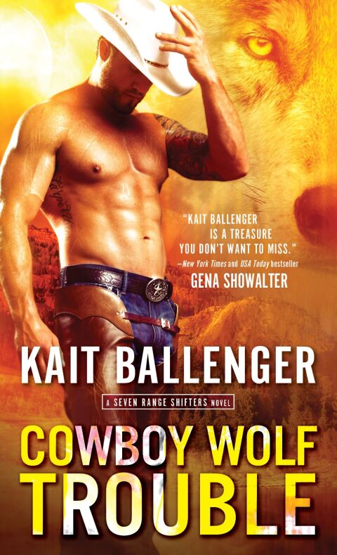Cover image for book Cowboy Wolf Trouble
