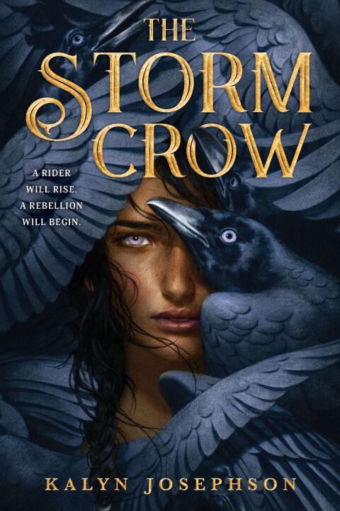 Cover image for book The Storm Crow