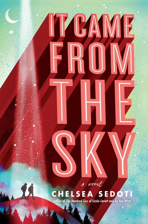 Cover image for book It Came from the Sky