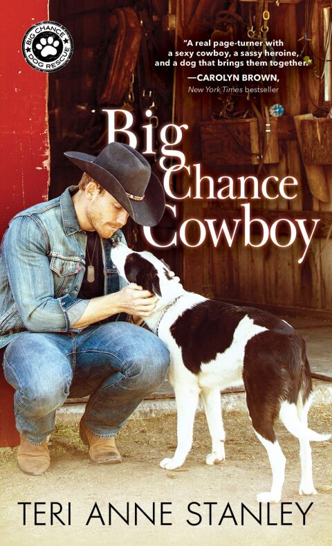 Cover image for book Big Chance Cowboy