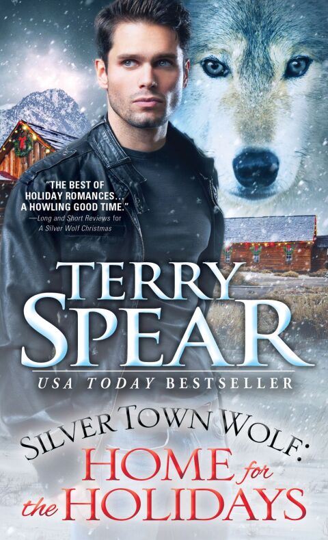 Cover image for book Silver Town Wolf: Home for the Holidays