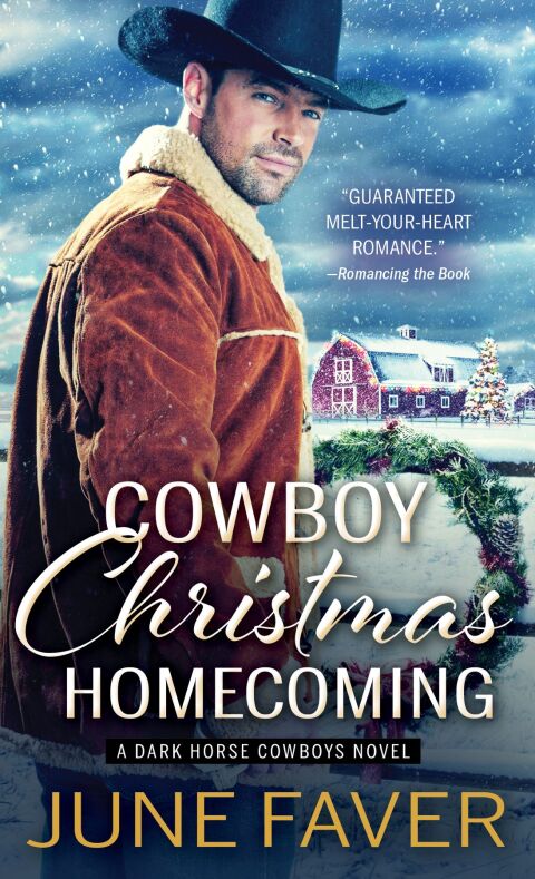 Cover image for book Cowboy Christmas Homecoming