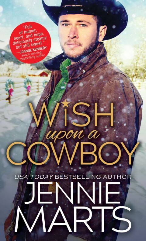 Cover image for book Wish Upon a Cowboy